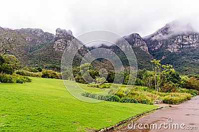 Kirstenbosch Botanical Gardens in Cape Town â€“ South Africa Stock Photo